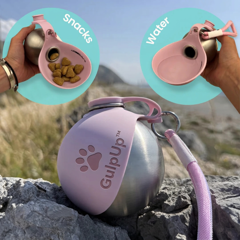 GulpUp Hydration Buddy Bottle for Dogs